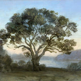 Paperbark dreaming 2020