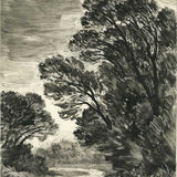 Path through the She Oaks 2024