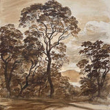 Pittwater trees, Wandeen Road 2025