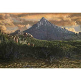 Near Dingo Dell 2017