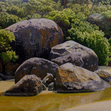 Morning rock group, Tidal River 2020