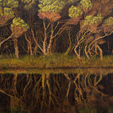 Beside Loo-Errn Track near Sunset 2024