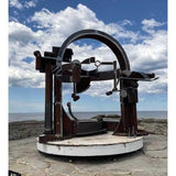 Cheryl's night garden 2023