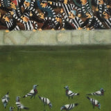 Pigeons at the MCG 2023