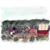 Mallee scrub 2026