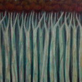 Crimson Rosellas 2024