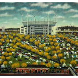 Jolimont Station 2026
