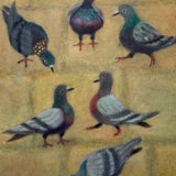 Pigeons 2024