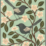 White winged wrens 2017