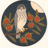 Barking owl & hakea 2018