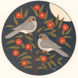 Owlet nightjar and eucalyptus 2018