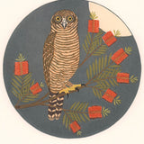 Rufous owl and callistemon 2018