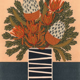 Acorn banksia and leucadendron 2019