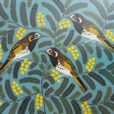 White fronted honeyeater and wattle 2023