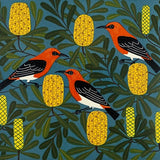 Scarlet honeyeater and banksia 2024