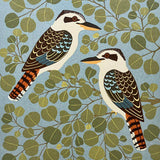 Kookaburras and red box 2024