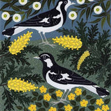 Magpie larks in the garden 2025