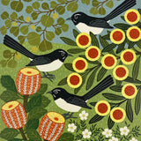 Willy Wagtails in the garden 2026
