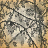 Pale vanilla lily 2022