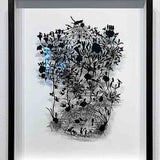 Candy cane sorrel 2024