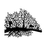 Catching up with the night 2024