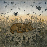 Hank and Bulbine lilies 2021