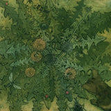 Hank and dandelion 2021