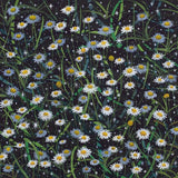 Tufted burr daisy 2026