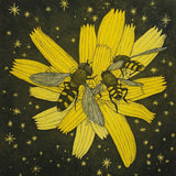 Hoverflies 2026