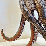Walking octopus 2025