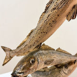 King George whiting 2025