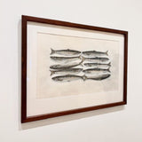 Pilchards on tray 2026