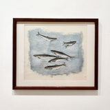 Pilchards swimming 2026
