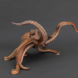 Octopus dance 2025