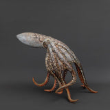 Walking octopus 2025