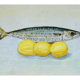 Mackerel 2026