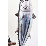 Striped tuna II 2013