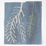 Rainforest 2 2026
