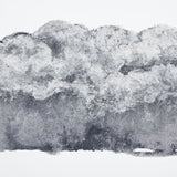 Storm 1 2026