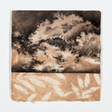 Clouds 5 2026