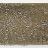 Petrichor 2026