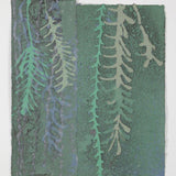 Rainforest 3 2026