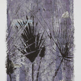 Wet season sand palm 1 2026