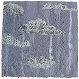 Monsoon 27 2026