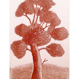 Samuel's tree II 2015
