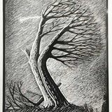 Tree with shooting star 2001