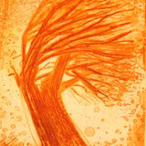 Orange blasted tree 2012