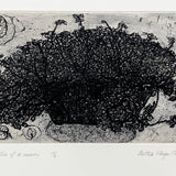 Page 5 of a survey 1997