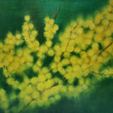 Golden Wattle III 2022