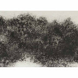 Desert plants I 2011-24